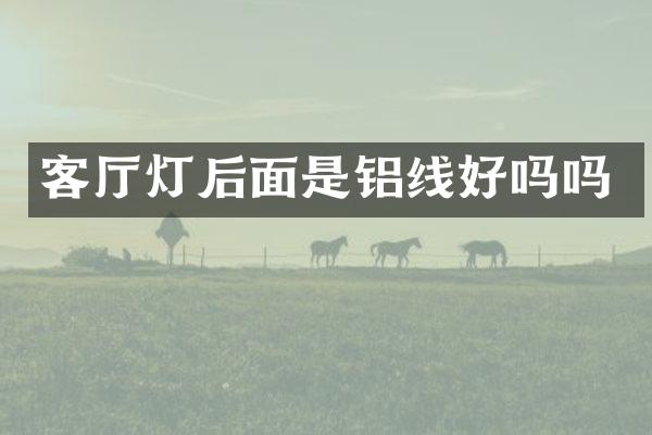 客厅灯后面是铝线好吗吗
