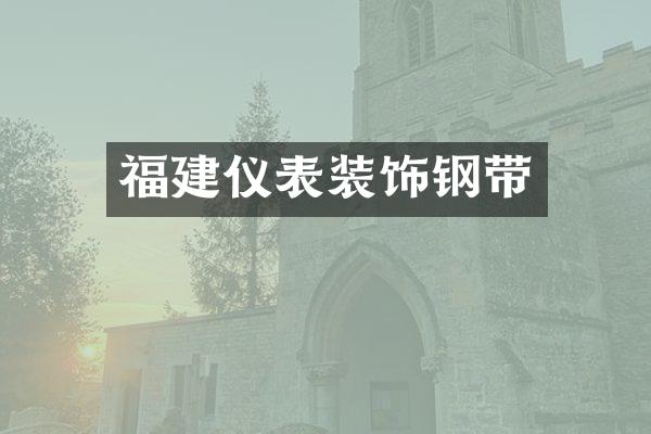 福建仪表装饰钢带
