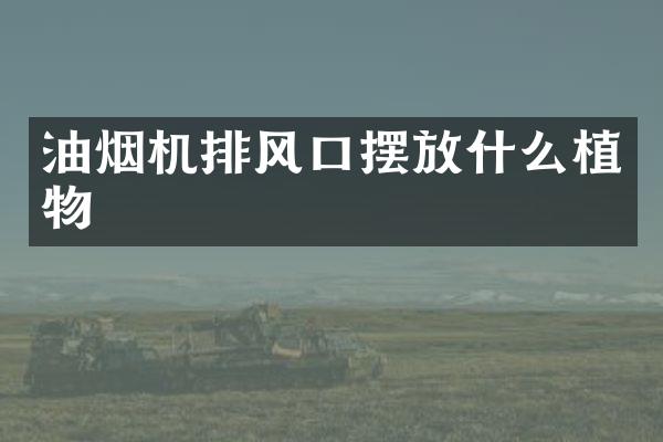 油烟机排风口摆放什么植物