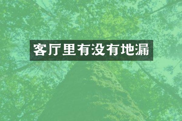 客厅里有没有地漏