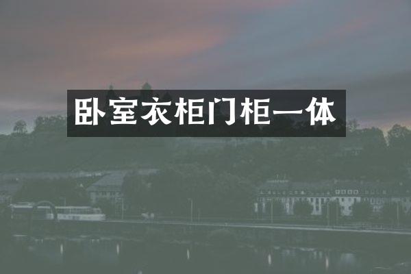 卧室衣柜门柜一体