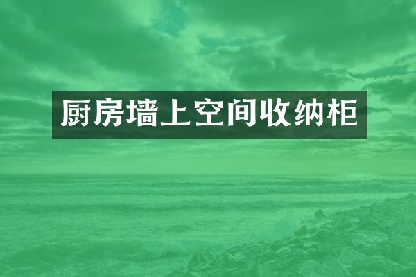 厨房墙上空间收纳柜