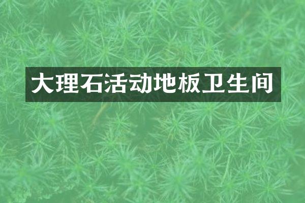 大理石活动地板卫生间