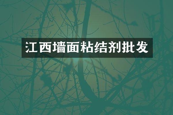 江西墙面粘结剂批发