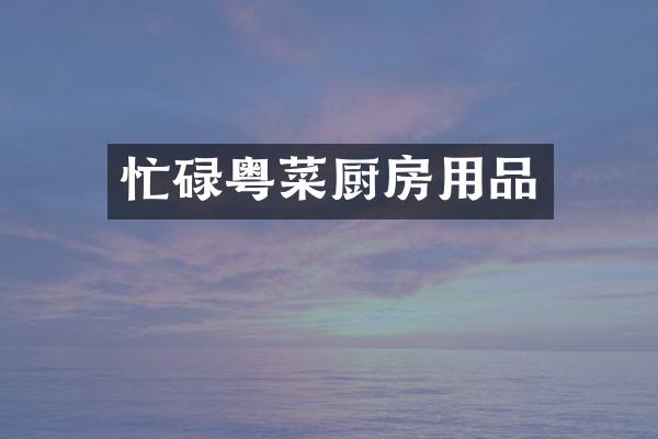 忙碌粤菜厨房用品