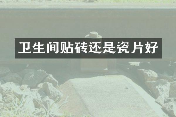 卫生间贴砖还是瓷片好