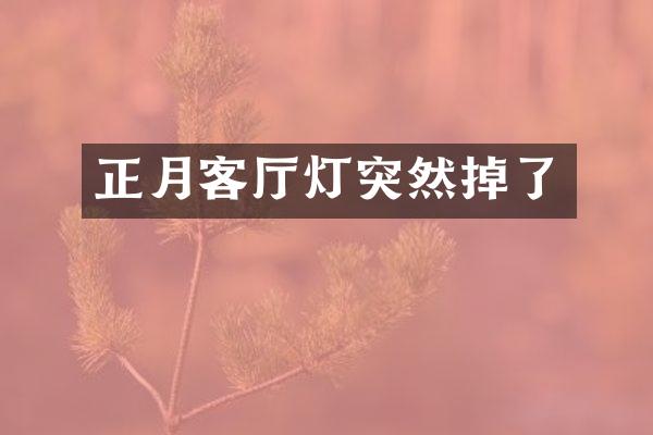 正月客厅灯突然掉了