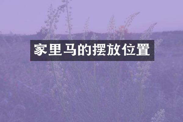家里马的摆放位置