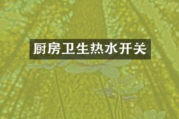厨房卫生热水开关