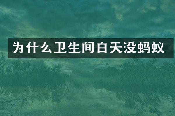 为什么卫生间白天没蚂蚁