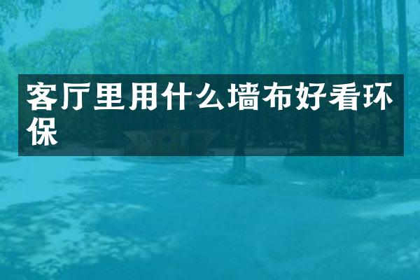 客厅里用什么墙布好看环保