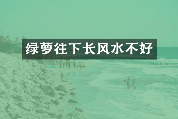 绿萝往下长风水不好