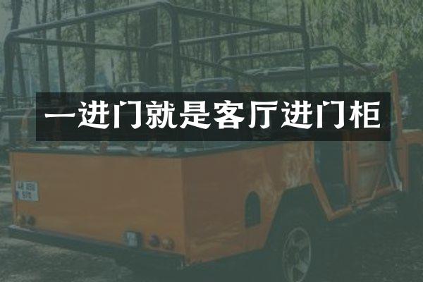 一进门就是客厅进门柜