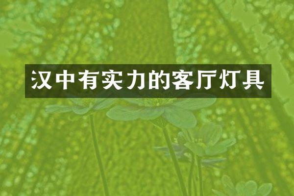 汉中有实力的客厅灯具