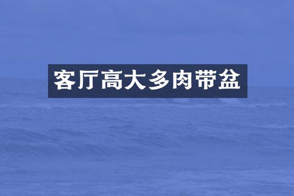 客厅高大多肉带盆
