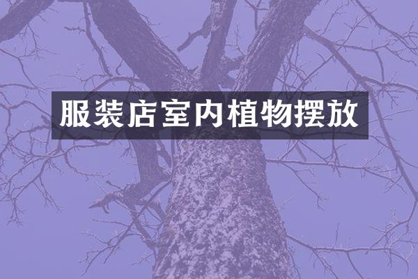 服装店室内植物摆放