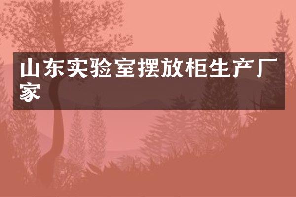 山东实验室摆放柜生产厂家