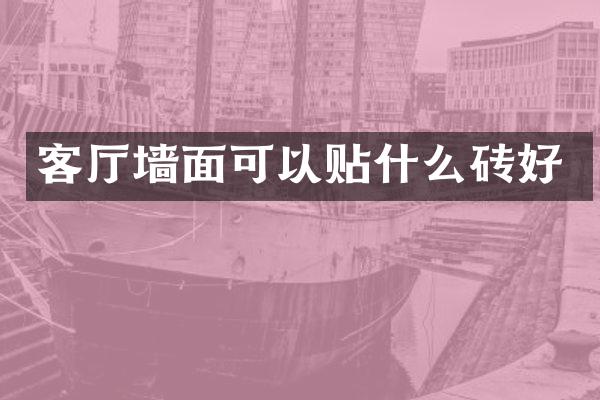 客厅墙面可以贴什么砖好