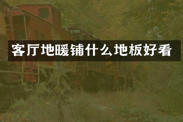 客厅地暖铺什么地板好看