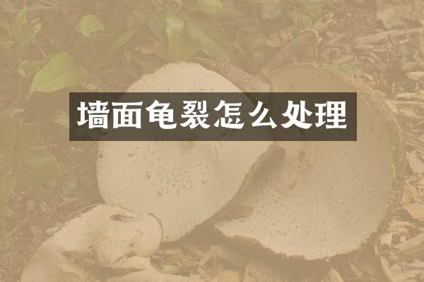 墙面龟裂怎么处理