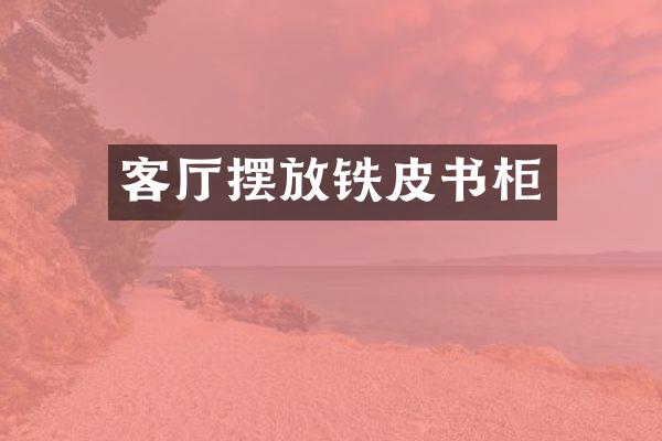 客厅摆放铁皮书柜