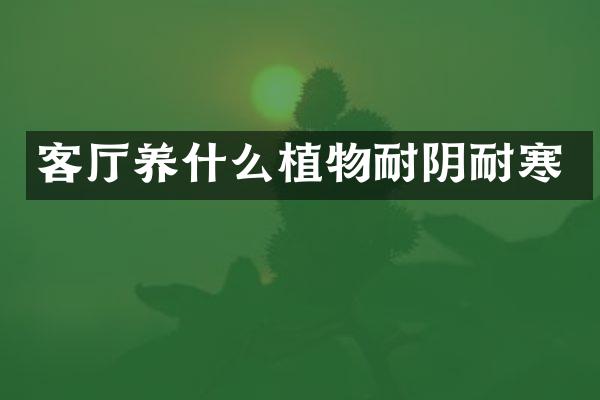 客厅养什么植物耐阴耐寒