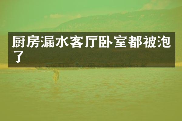 厨房漏水客厅卧室都被泡了