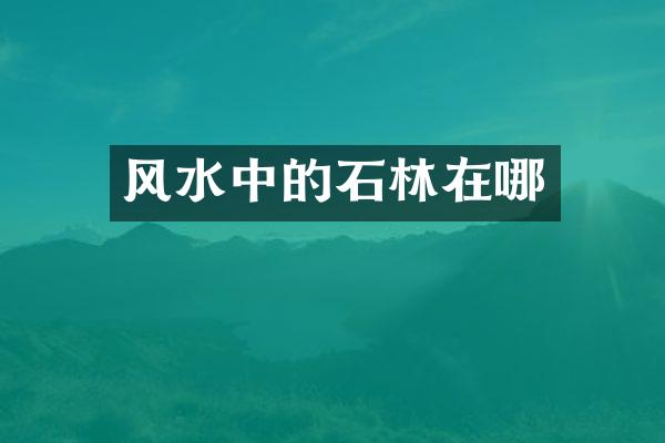 风水中的石林在哪