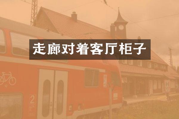 走廊对着客厅柜子