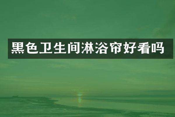 黑色卫生间淋浴帘好看吗