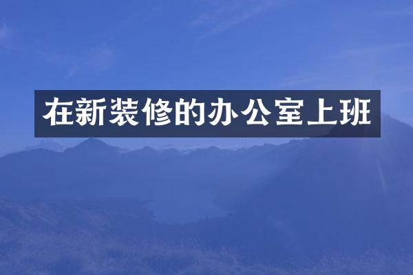 在新装修的办公室上班