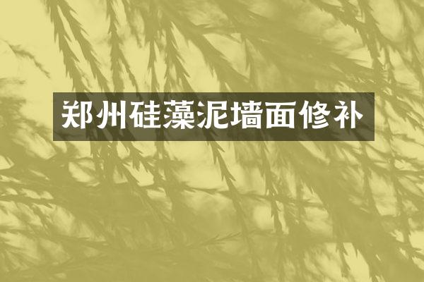 郑州硅藻泥墙面修补