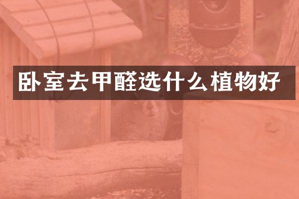 卧室去甲醛选什么植物好