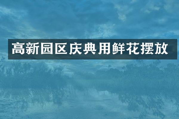 高新园区庆典用鲜花摆放