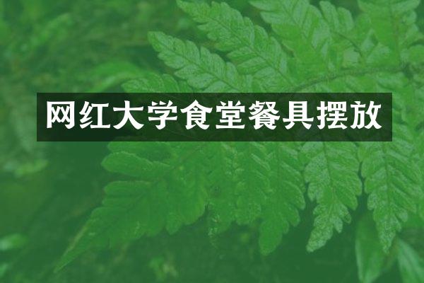 网红大学食堂餐具摆放