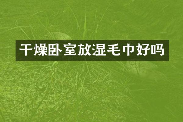 干燥卧室放湿毛巾好吗