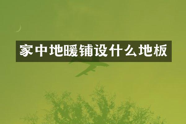 家中地暖铺设什么地板