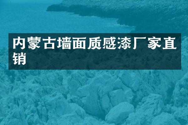 内蒙古墙面质感漆厂家直销