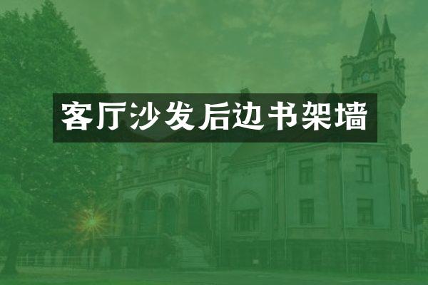 客厅沙发后边书架墙