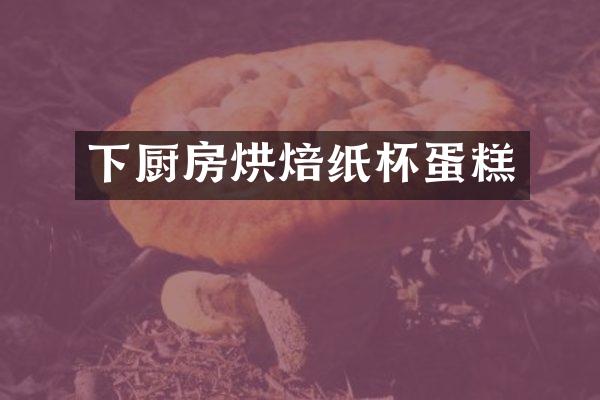 下厨房烘焙纸杯蛋糕