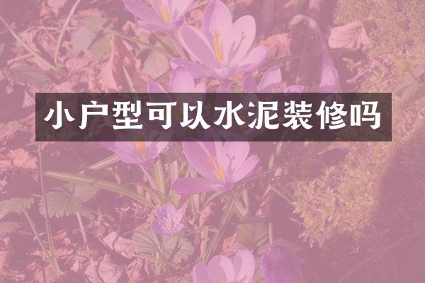 小户型可以水泥装修吗