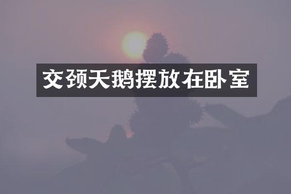 交颈天鹅摆放在卧室