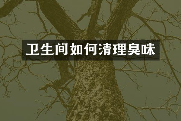 卫生间如何清理臭味