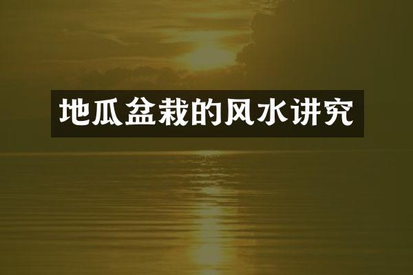 地瓜盆栽的风水讲究