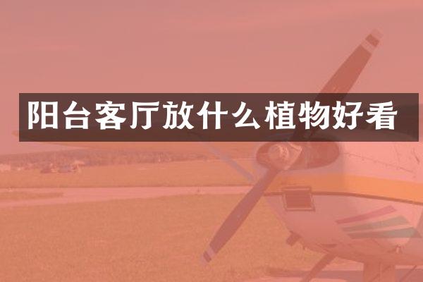 阳台客厅放什么植物好看