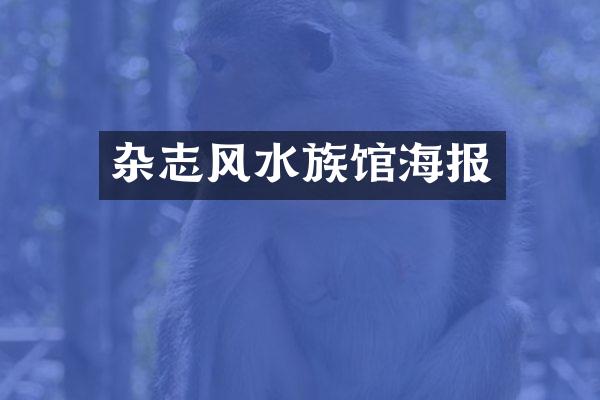 杂志风水族馆海报