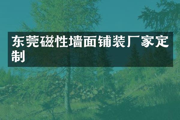 东莞磁性墙面铺装厂家定制