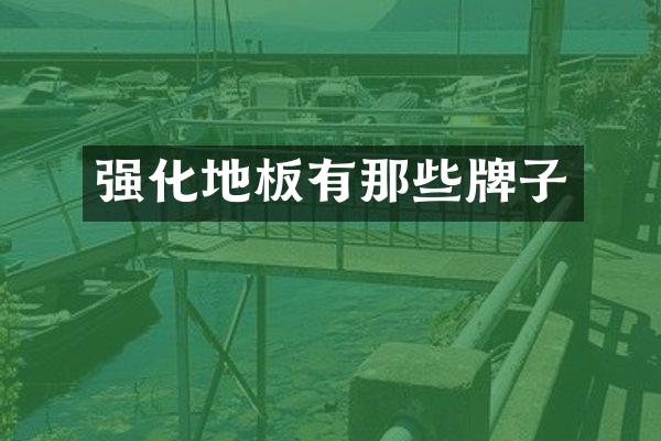 强化地板有那些牌子