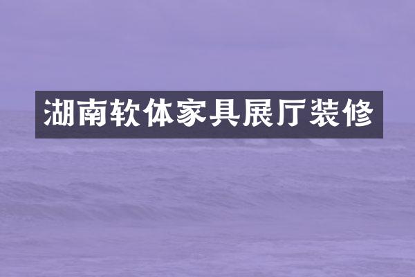 湖南软体家具展厅装修