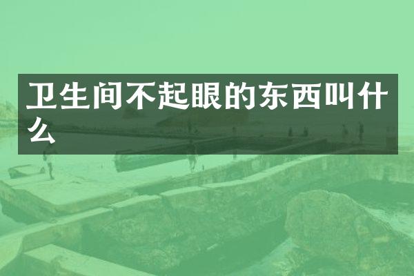 卫生间不起眼的东西叫什么